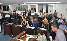 sesion presupuesto.jpg