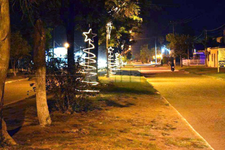arbol4.jpg