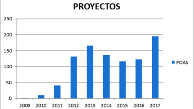 Bosques nativos: avances y desafíos