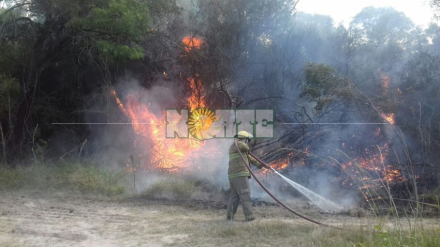 incendio pastizales.jpg