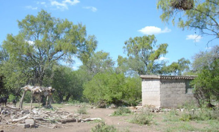 CRIMEN-POR-UN-CAMPO1.jpg