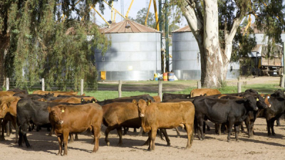 Los productores agropecuarios podrán inscribirse en el Renspa a través de Internet