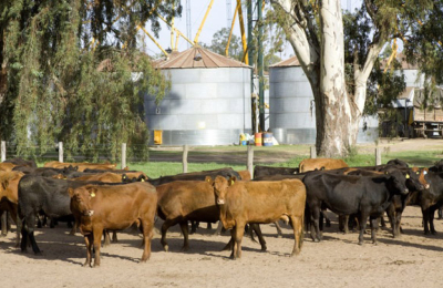 Los productores agropecuarios podrán inscribirse en el Renspa a través de Internet