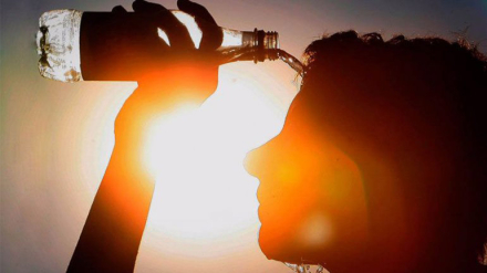 calor3.jpg