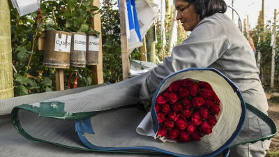 San Valentín, un alivio para la crisis en la frontera con Venezuela