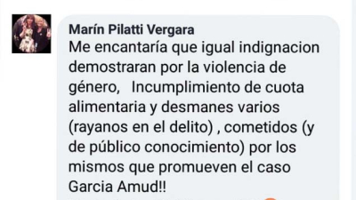 La polémica llegó al Senado: Pilatti Vergara defendió a la diputada Nadia García Amud