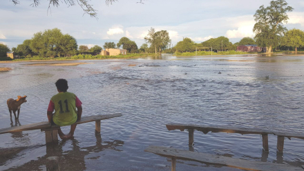pilcomayo.jpg