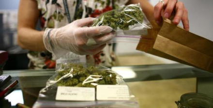 cannabis.jpg