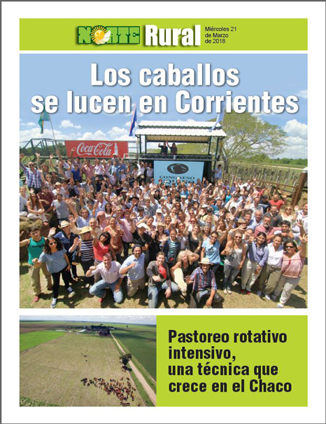 Los caballos se lucen en Corrientes