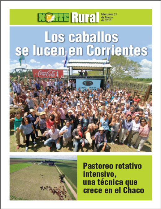 Los caballos se lucen en Corrientes