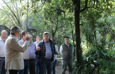 "El Chaco forestal está fortalecido con instrumentos que hace diez años carecía"