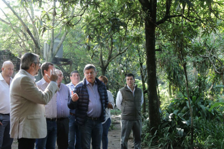 BOSQUES.jpg