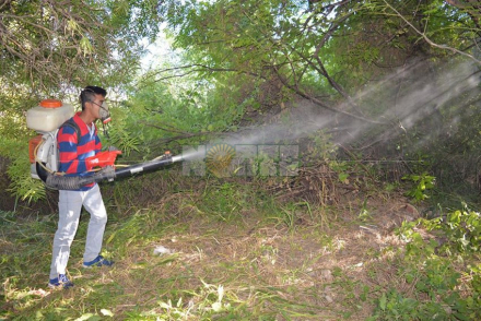 descacharrado2.jpg