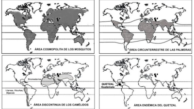 La distribución