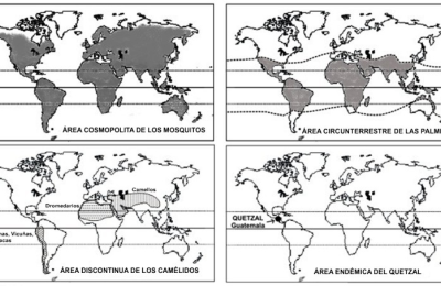 La distribución