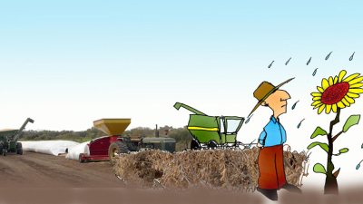 El productor no guarda la soja, la vende y mira hacia el girasol