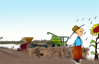 El productor no guarda la soja, la vende y mira hacia el girasol