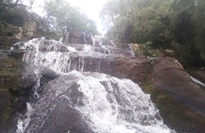 Entre el silencio y las aguas de la selva misionera
