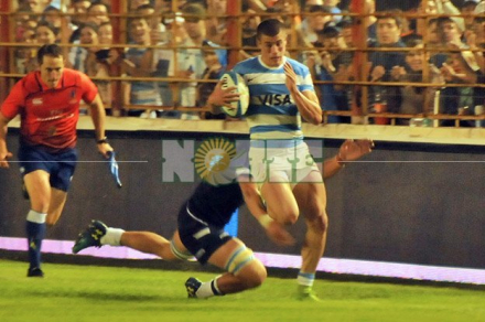 pumas.jpg