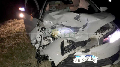 Gran preocupación por animales sueltos sin marcas en rutas chaqueñas