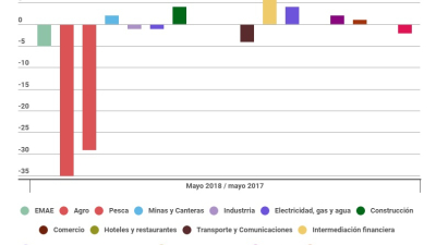 La actividad económica cayó en mayo 5,8%, estimó el Indec