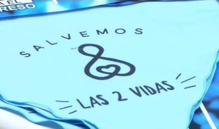 provida.jpg