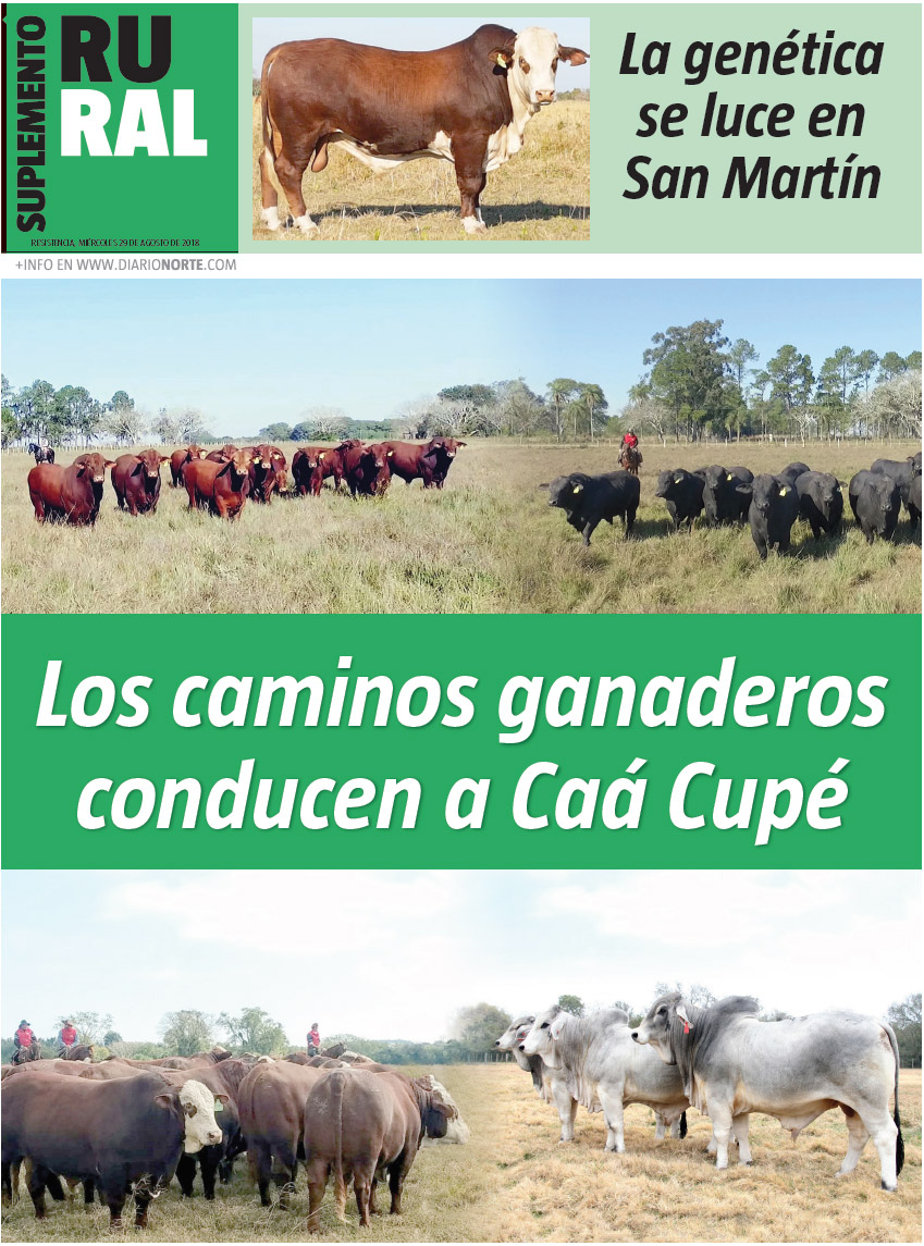 Los caminos ganaderos conducen a Caá Cupé