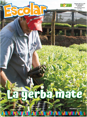 La yerba mate