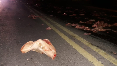 Carne de cerdo esparcida frente al barrio Don Santiago