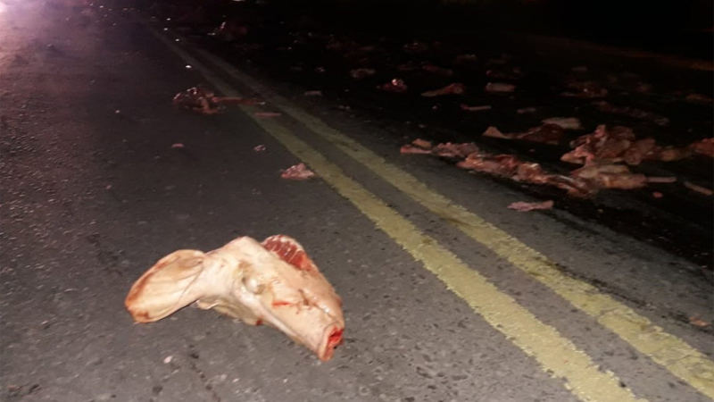 Carne de cerdo esparcida frente al barrio Don Santiago