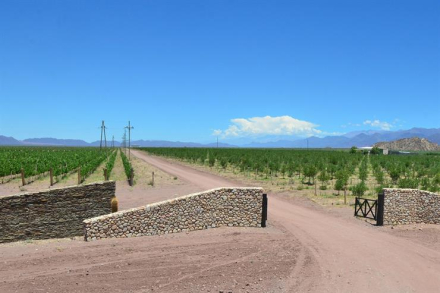 Tinogasta Catamarca.jpg