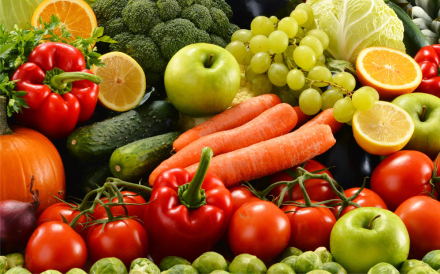 alimentacion2.jpg