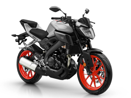 mt125.jpg