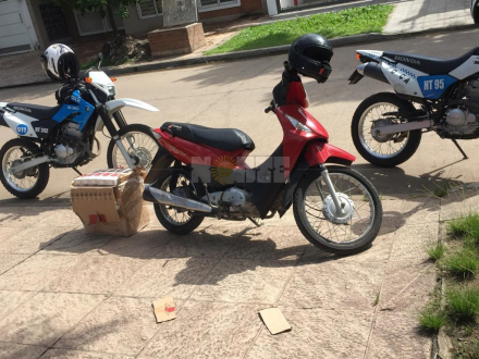 Pucho copia.jpg