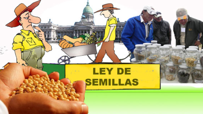 Día clave en el Congreso por la semilla