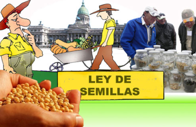Día clave en el Congreso por la semilla