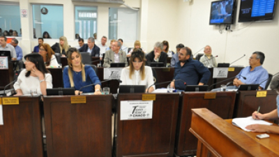 La cuestión Castelli se mete en la agenda legislativa