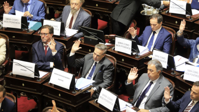 Ante la amenaza del paro de aviones el Senado aprobó diez leyes en una hora