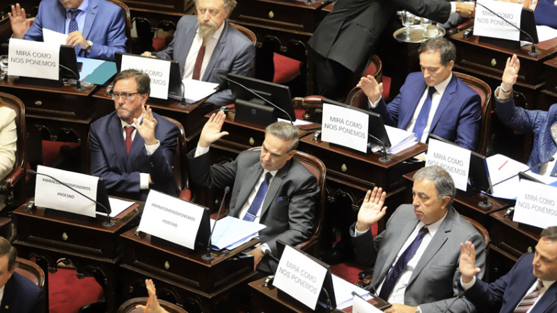 Ante la amenaza del paro de aviones el Senado aprobó diez leyes en una hora