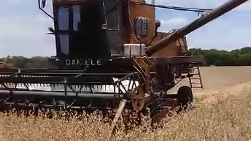 El Chaco cosechó su primer lote de soja primavera en Colonias Unidas