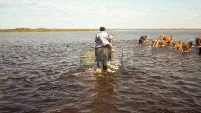 La Nación homologó el decreto de Emergencia Agropecuaria del Chaco