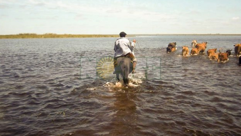 La Nación homologó el decreto de Emergencia Agropecuaria del Chaco