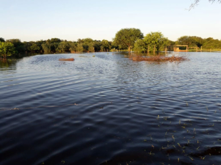 los-campos-con-agua.jpg