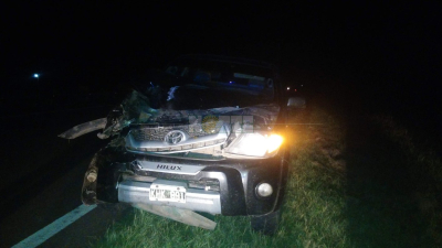 Caballo suelto provocó un accidente en la ruta 95
