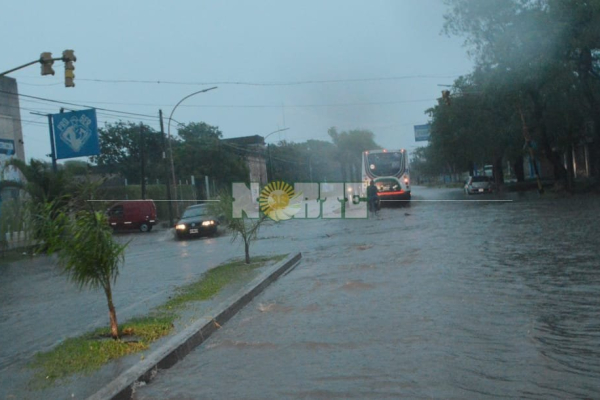 Temporal en Resistencia: voladura de techos, caída de árboles y calles inundadas