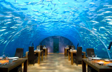 Ithaa Undersea Restaurant.jpg