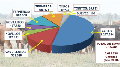 En ganadería, ¿cómo estamos?