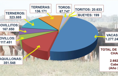 En ganadería, ¿cómo estamos?