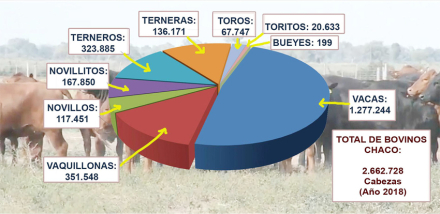 dibujo Hipo ganaderia.jpg