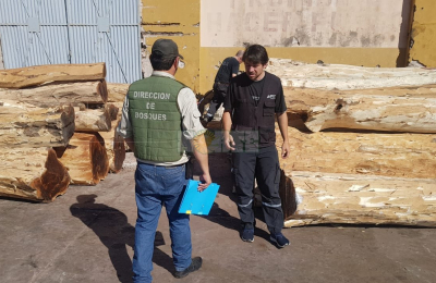 Impiden exportación ilegal de madera nativa con destino a China